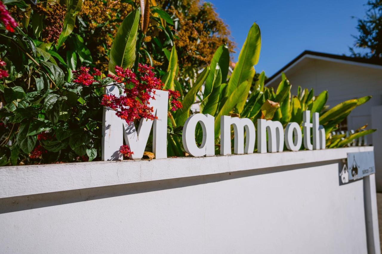 Mammoth Boutique Hotel Чиангмай Екстериор снимка